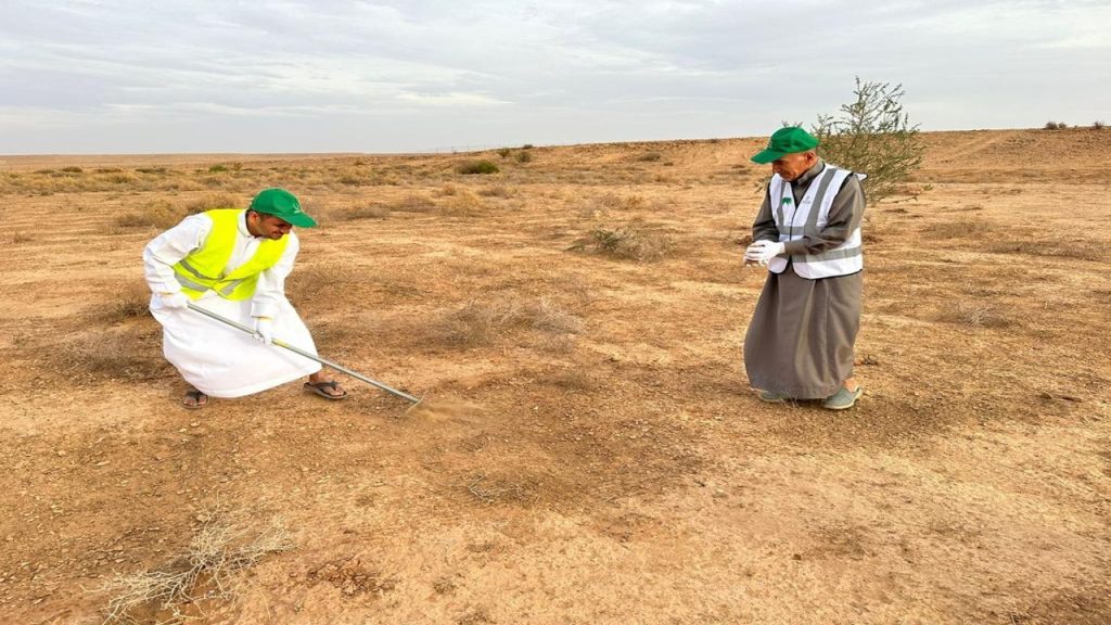 الصورة 2