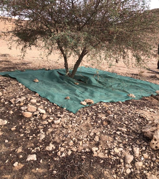 الصورة3
