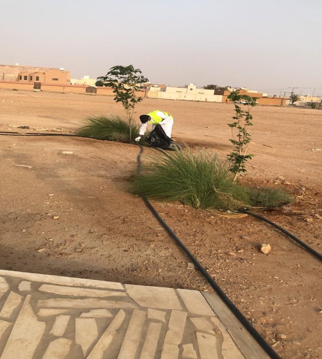 الصورة3