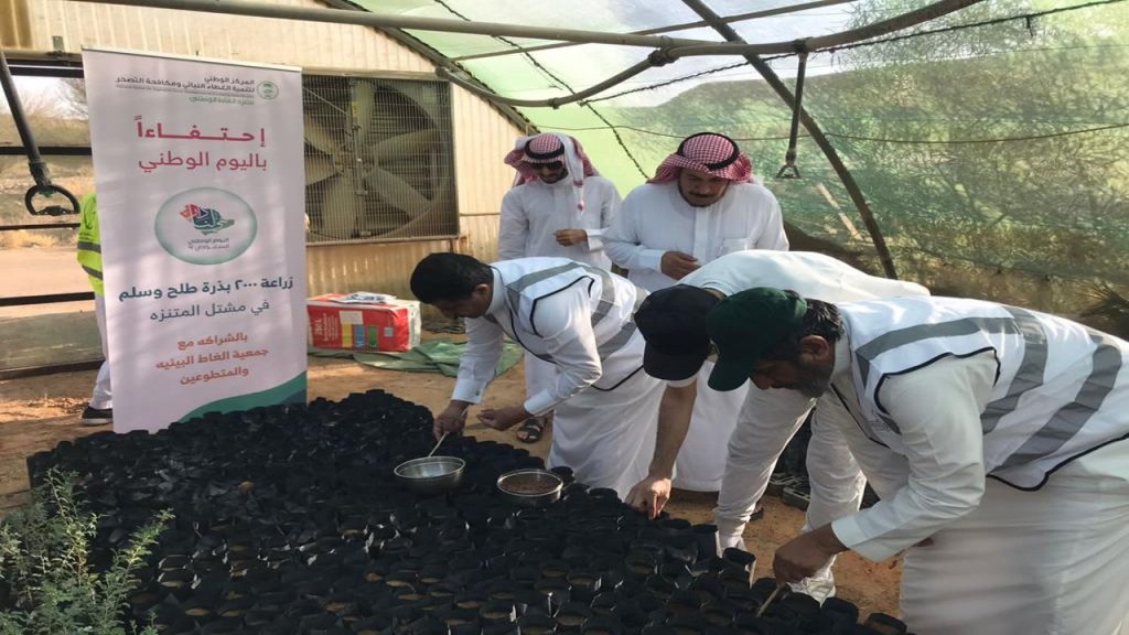 الصورة3