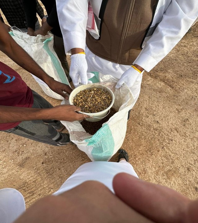 الصورة5