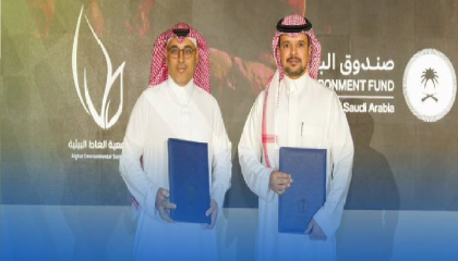 شراكة بيئية نحو الاستدامة