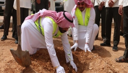 فعاليات زراعة الأشجار وإنبات البذور