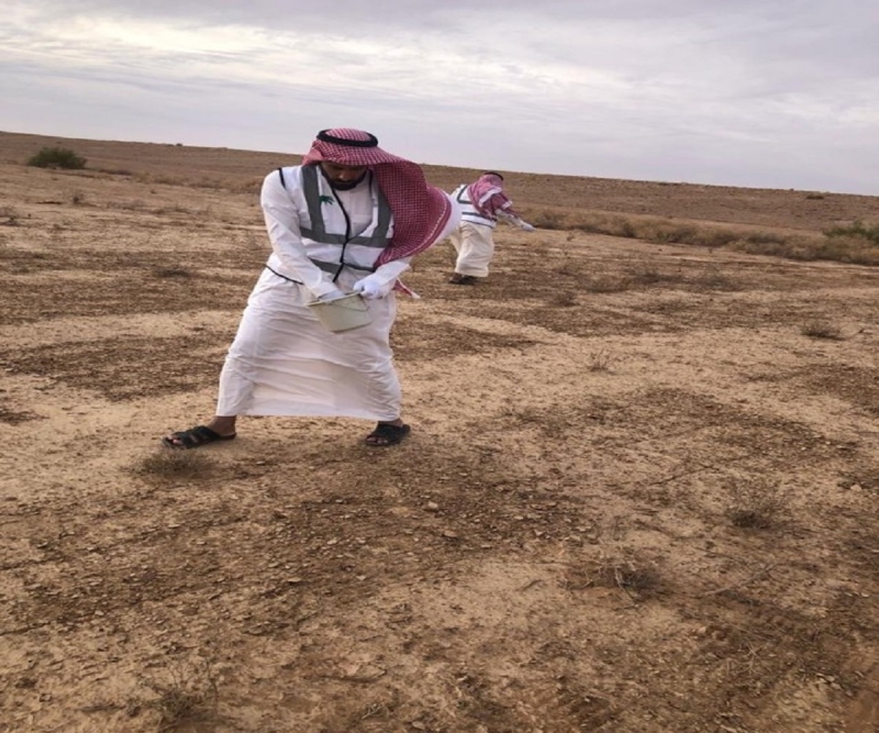 فعاليات نثر البذور