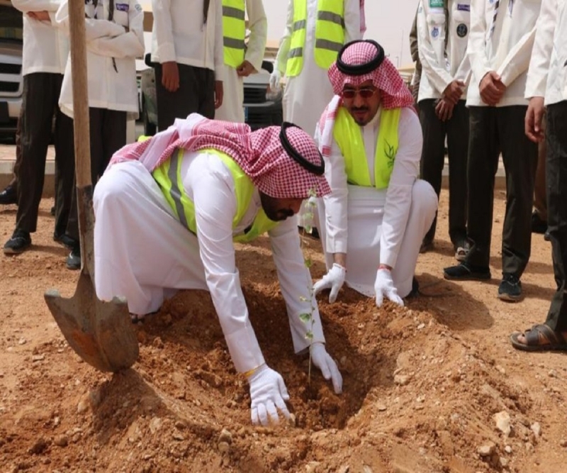 فعاليات زراعة الأشجار وإنبات البذور